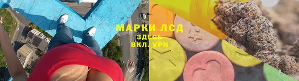 прущие грибы Верея