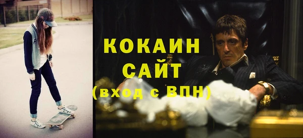 прущие грибы Верея