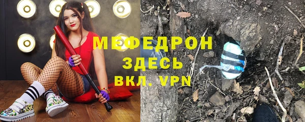 прущие грибы Верея