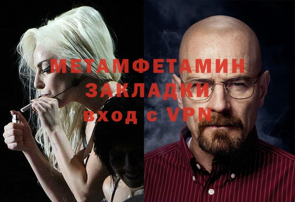 прущие грибы Верея
