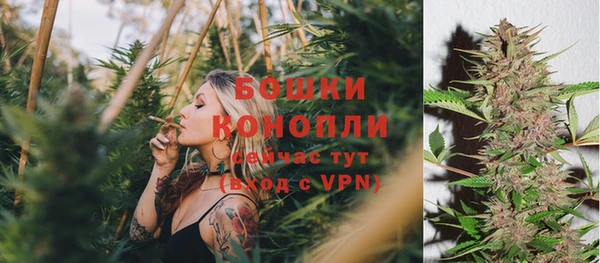 COCAINE Богородицк