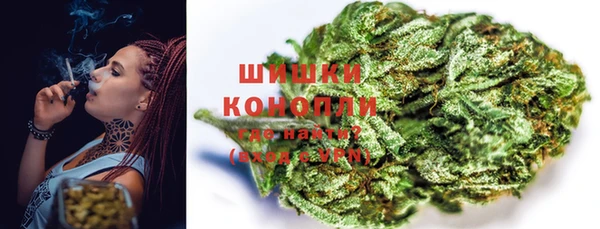 прущие грибы Верея