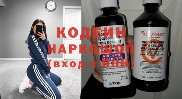 прущие грибы Верея