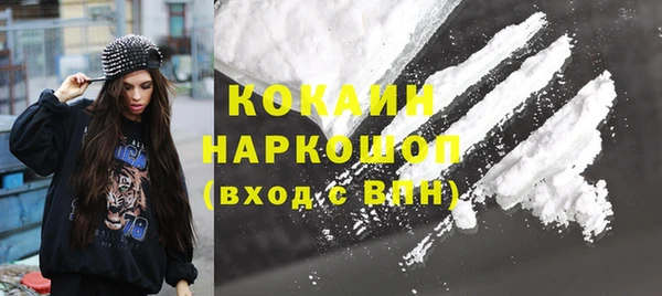 прущие грибы Верея