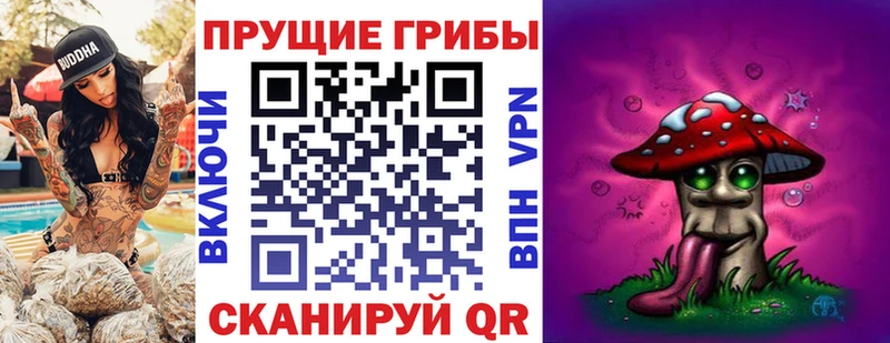где можно купить   Емва  Галлюциногенные грибы Magic Shrooms 